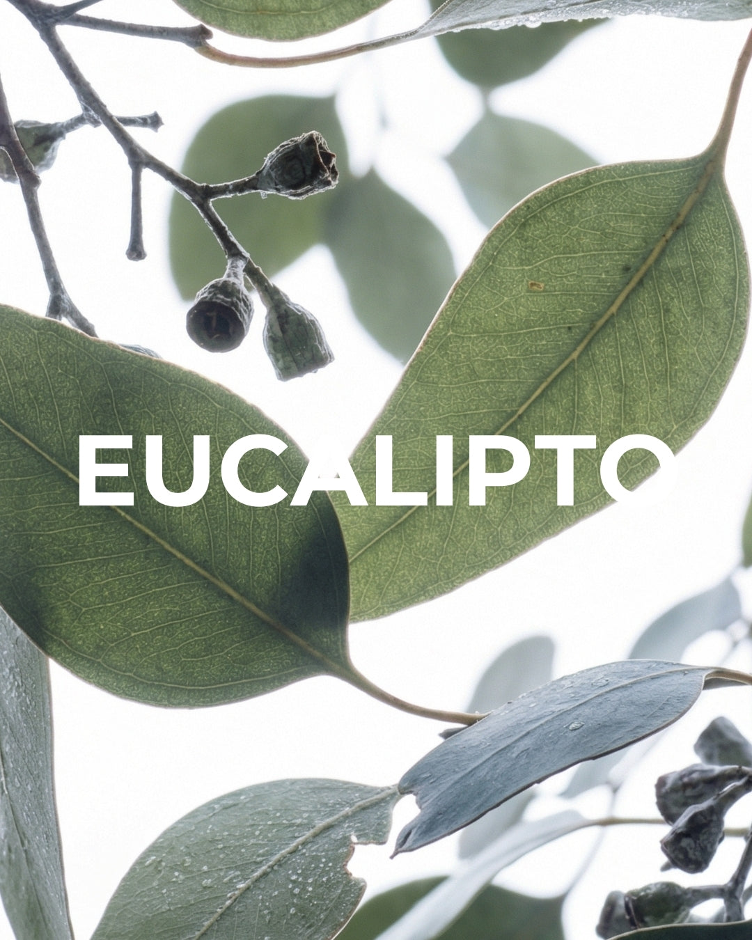 Aceites Esenciales - 25Gr