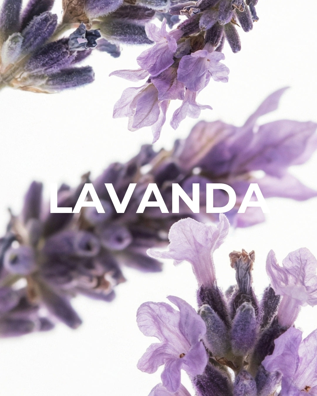 Aceites Esenciales - 25Gr