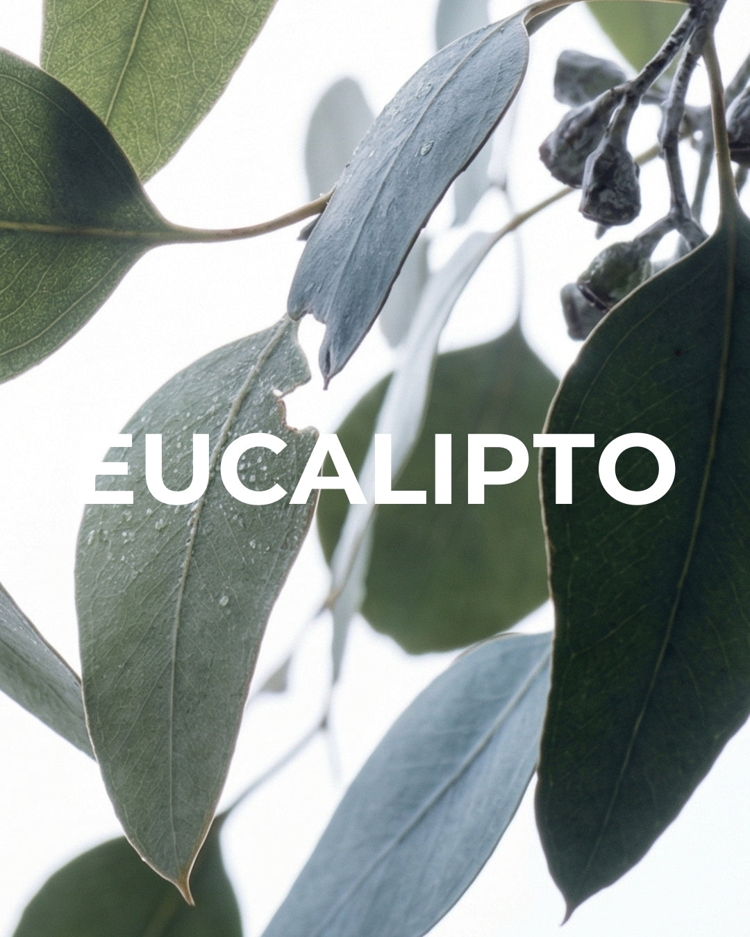 Aromas para Difusores - 25gr